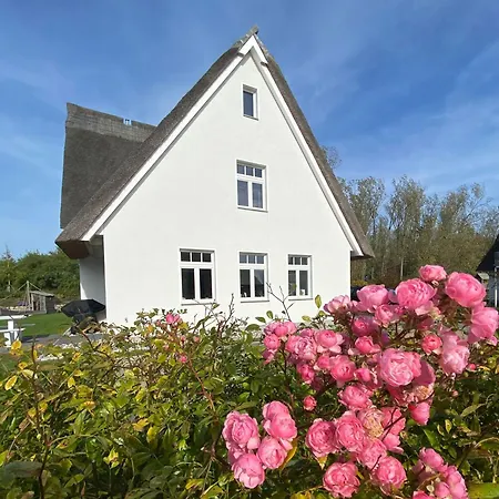 Kleiner Findling * Neu Gaarz